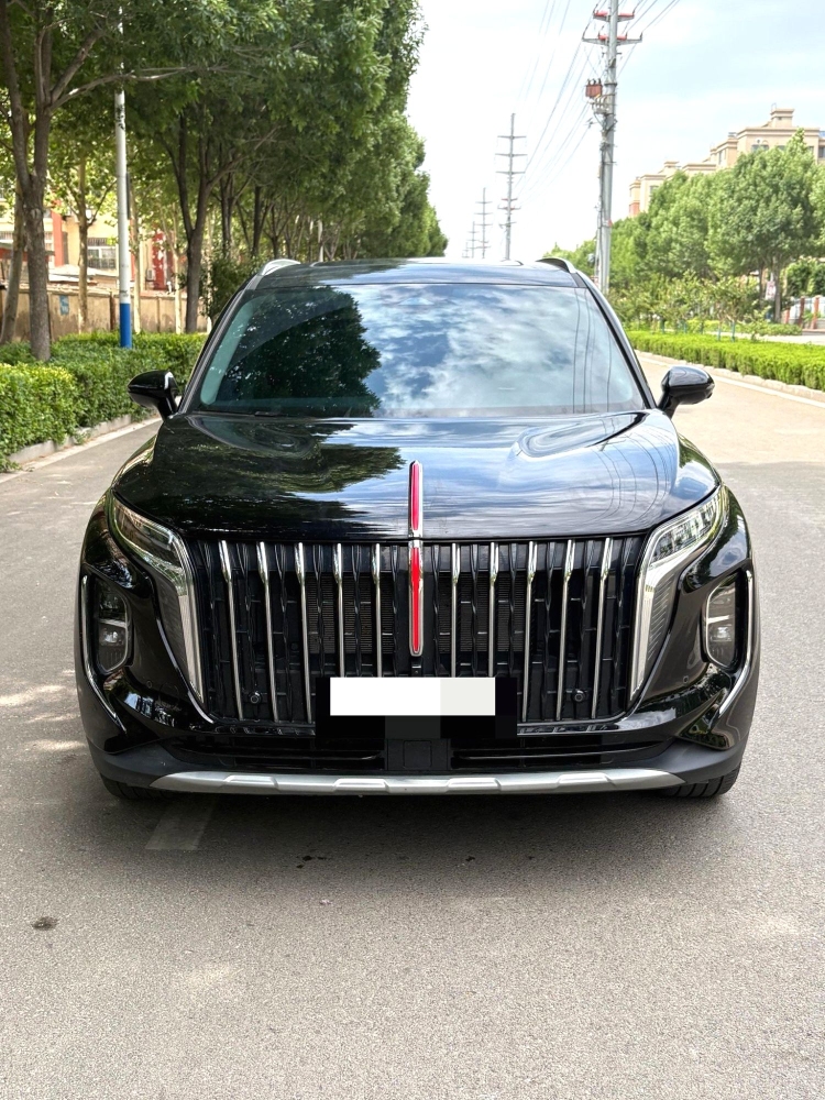 Hongqi HS7