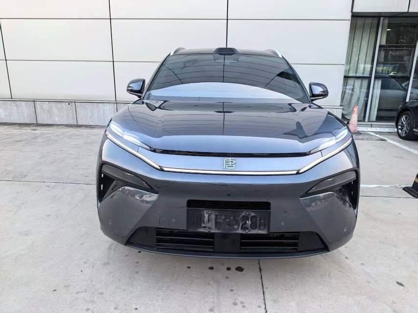 Tang L