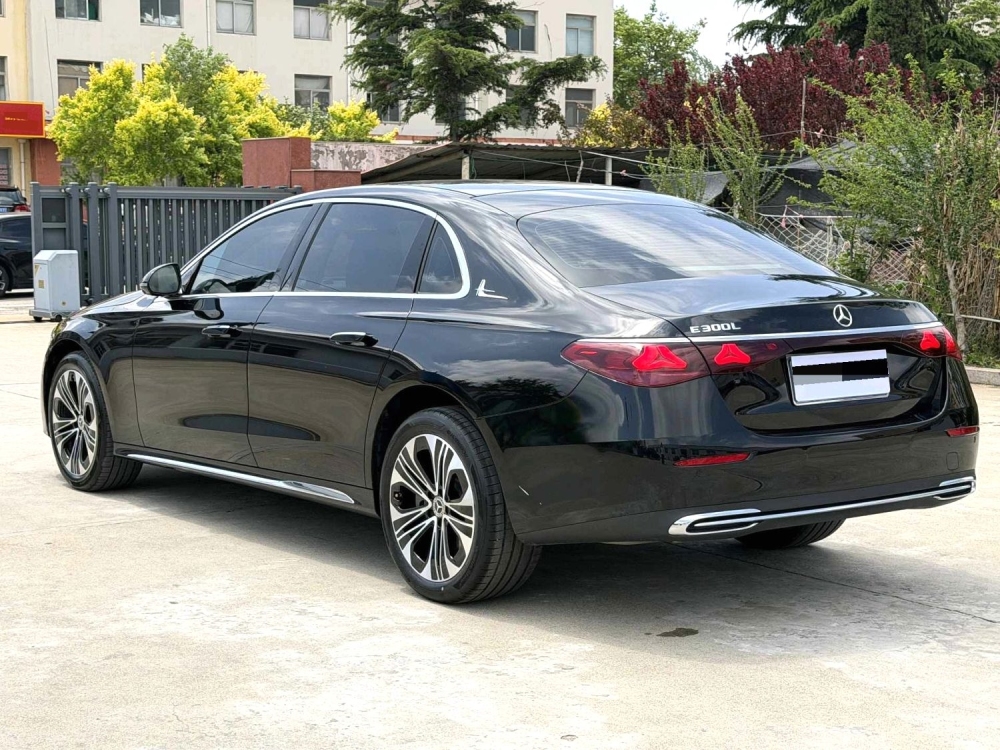 E-Class E300L