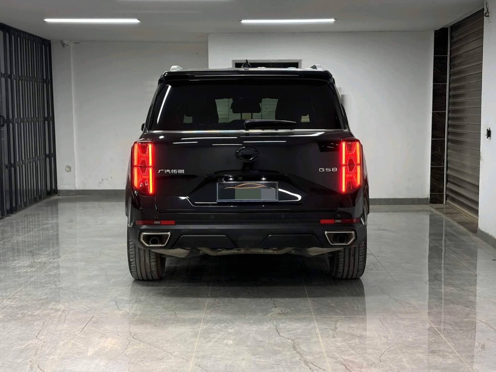 Trumpchi GS8