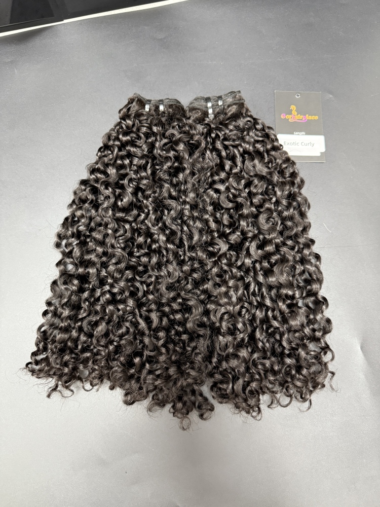 Luxury Virgin Double Drawn Exotic Curly