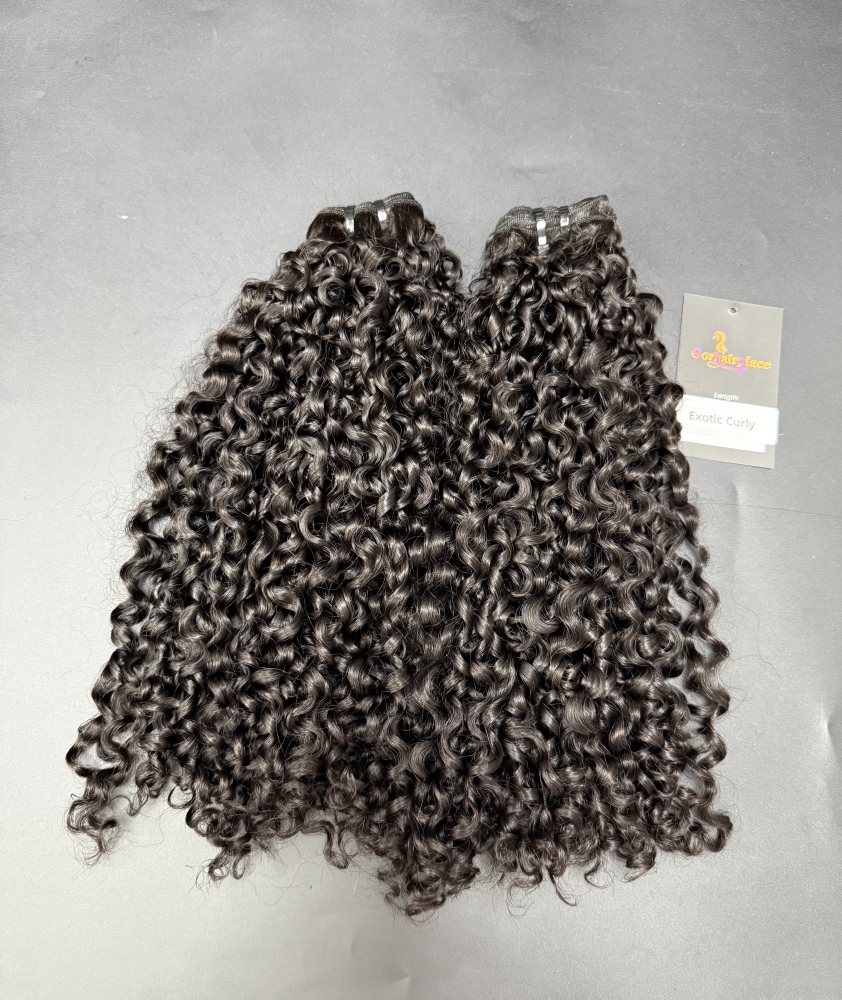 Luxury Virgin Double Drawn Exotic Curly