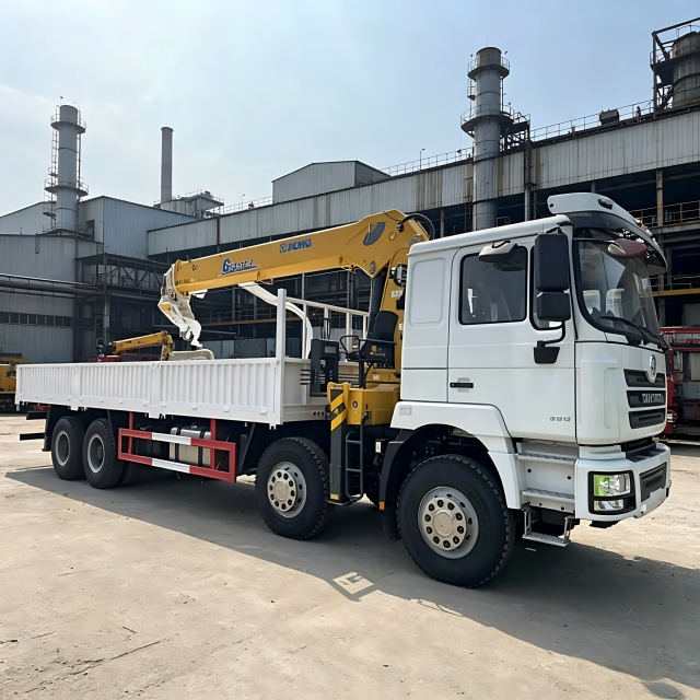 出售符合欧2排放标准的豪沃车载起重卡车 | 重型三轴车辆