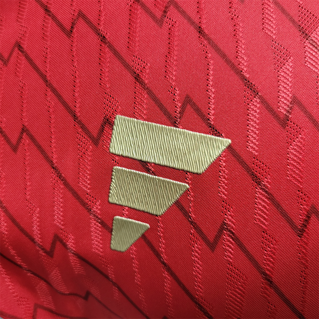 23-24 Arsenal Home Player Version