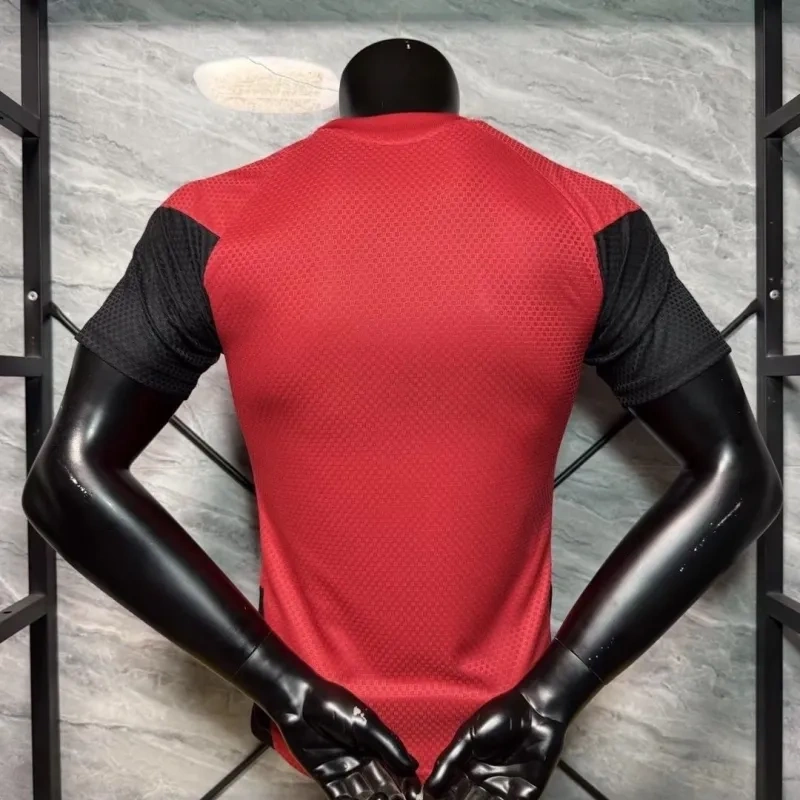 2026 Germany World Cup Training Soccer Jersey Authentic Shirt