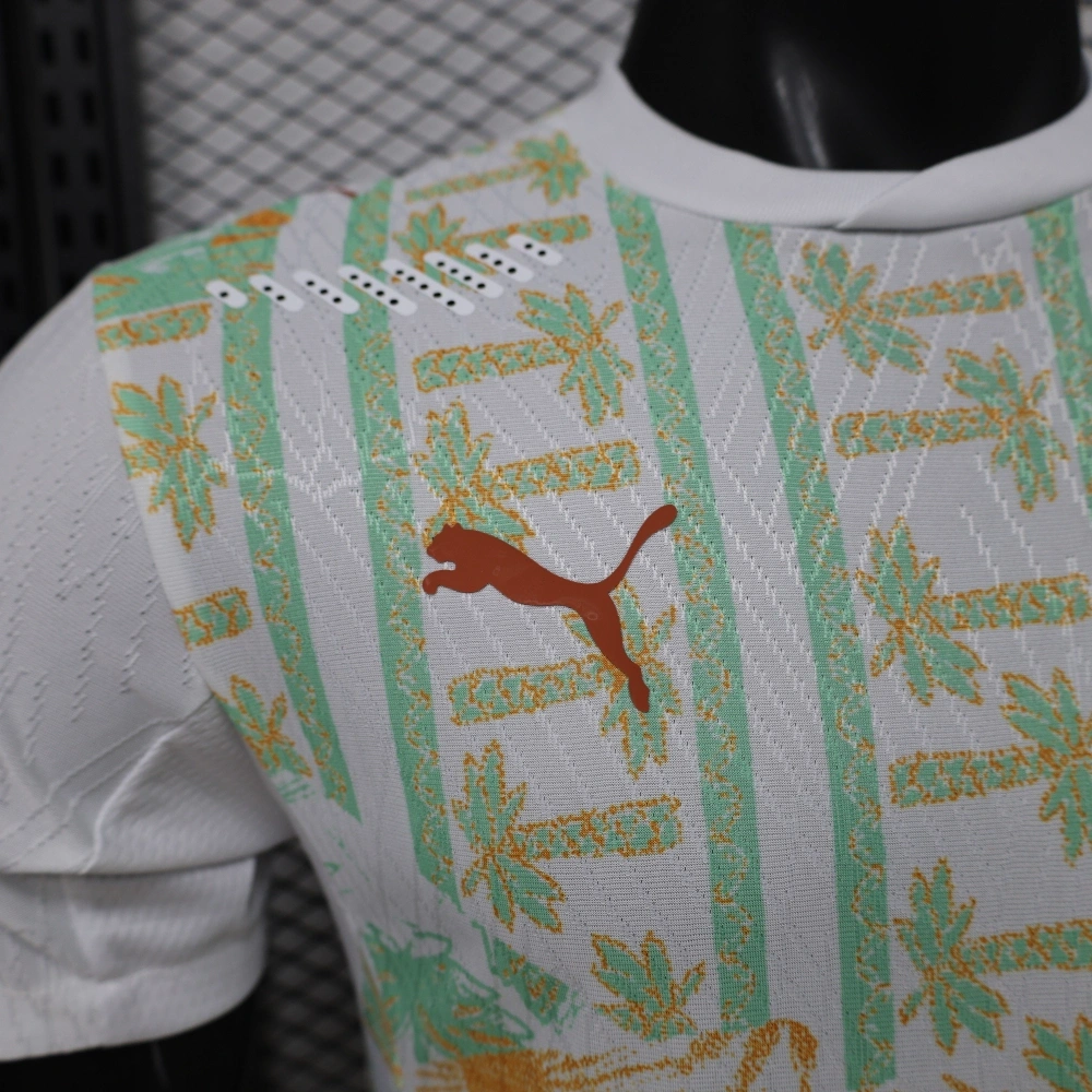 2026 Ivory Coast Away World Cup Soccer Jersey Player Version