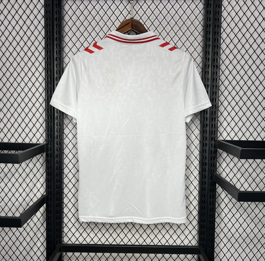 2024-2025 Denmark  Away Football jersey Fan edition 1:1  China Quality