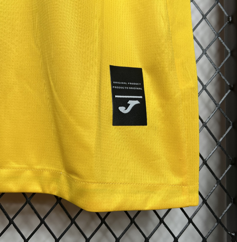 2024-2025 Ukraine Euro Home Football jersey Fan edition 1:1  China Quality
