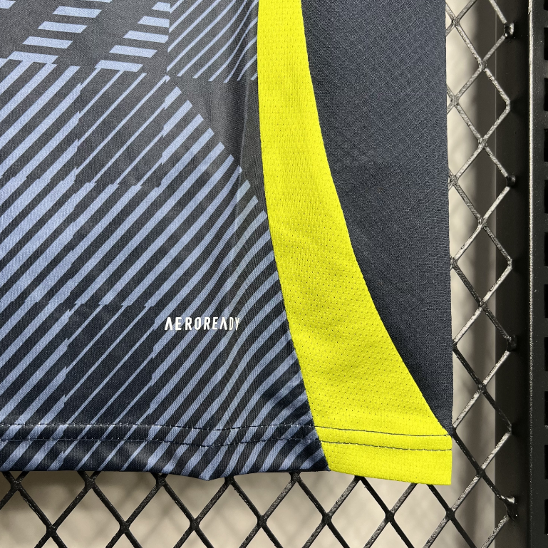 2024-2025 Scotland Euro Home Football jersey Fan edition 1:1  China Quality