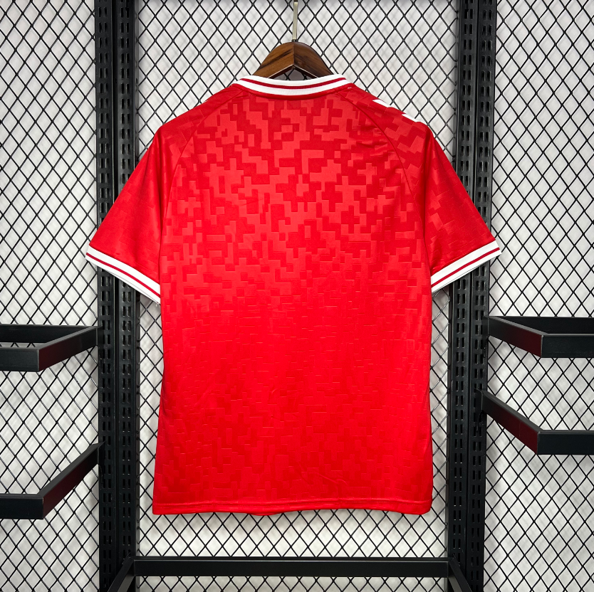 2024-2025 Denmark Home Football jersey Fan edition 1:1  China Quality