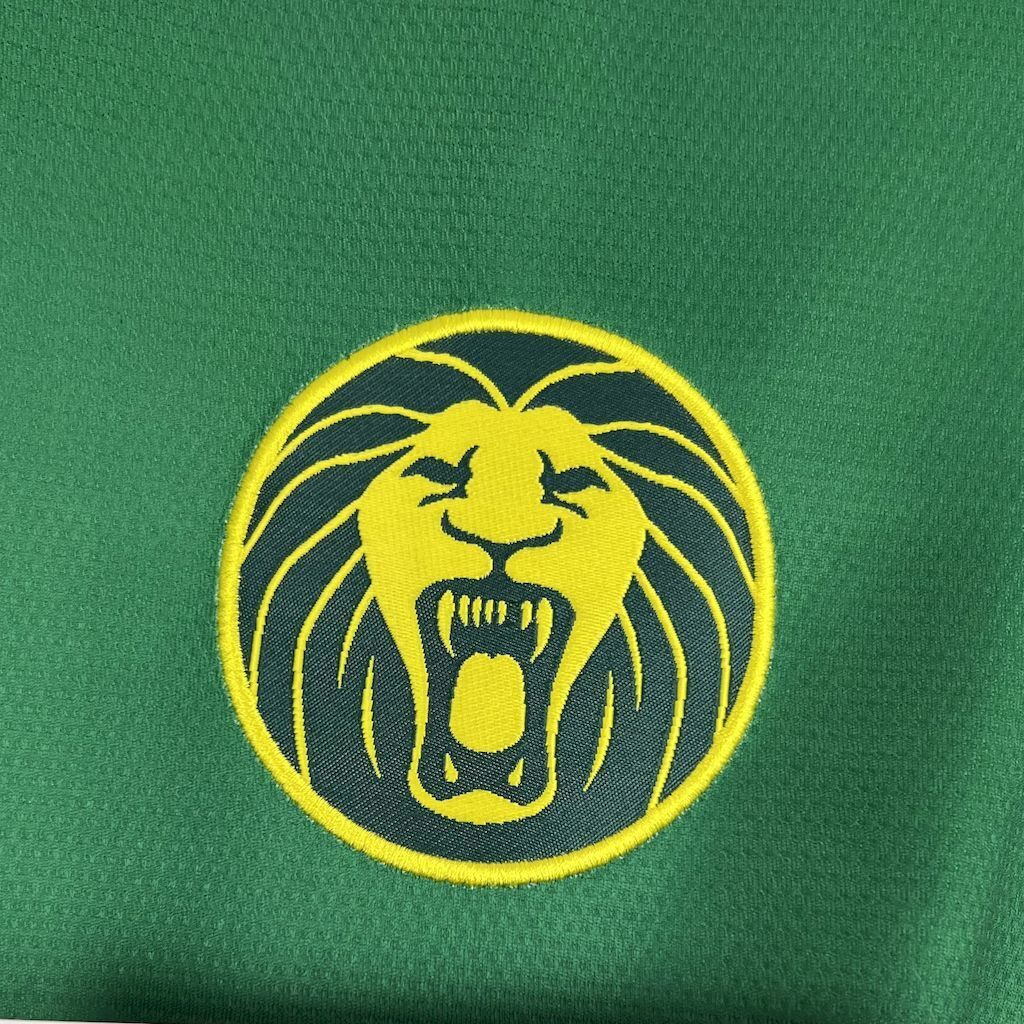 2025-2026 Cameroon Home Football jersey Fan edition 1:1  China Quality
