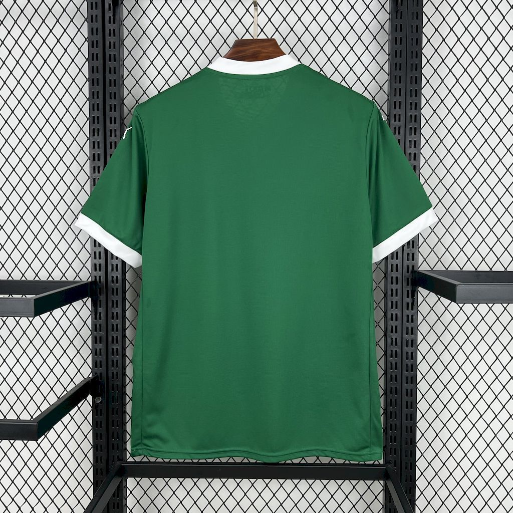 2025-2026 Palmeiras Club Home Jersey Fan version 1:1 China Quality