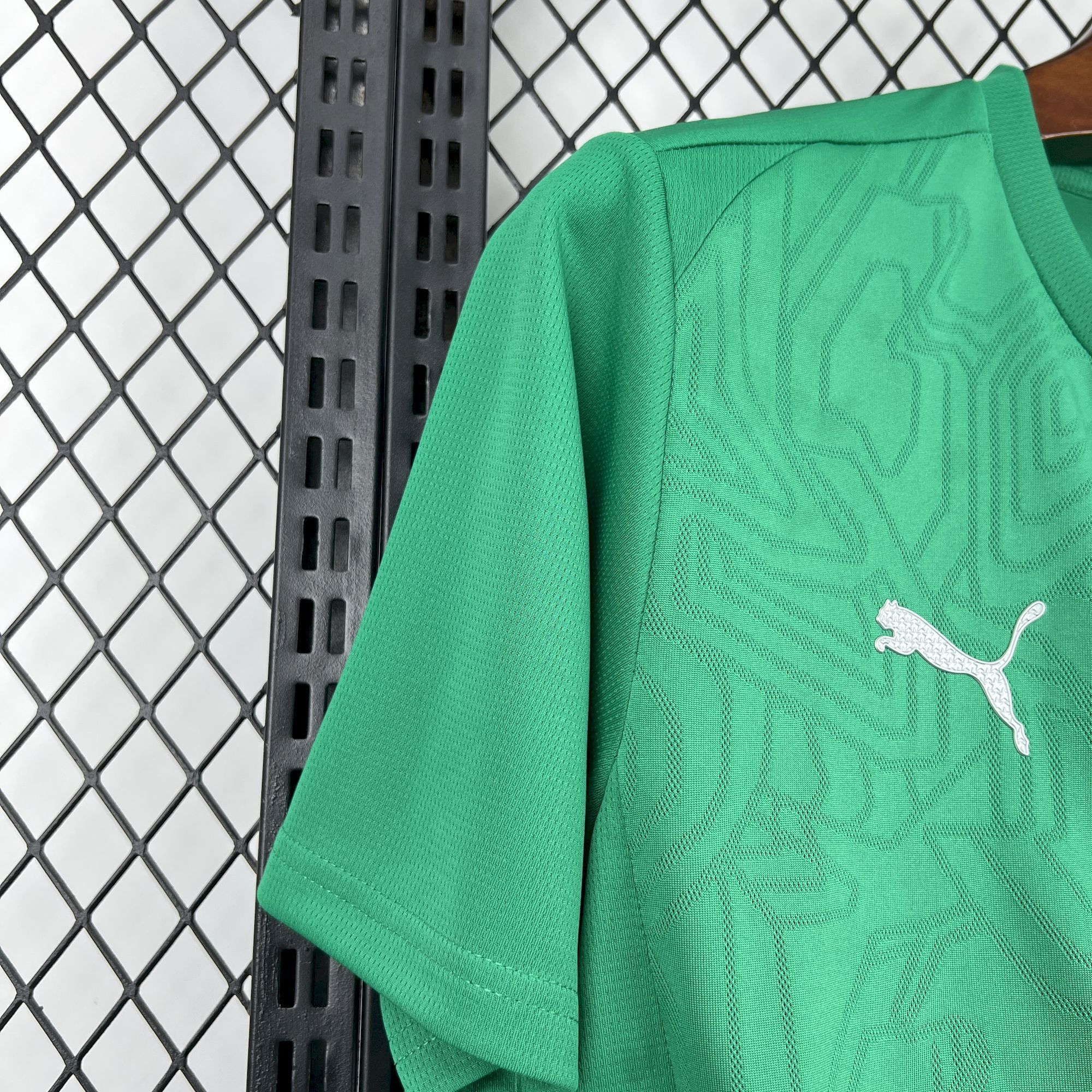 2024-2025 Palmeiras Club Mens Trainingr Jersey Fan version 1:1 China Quality