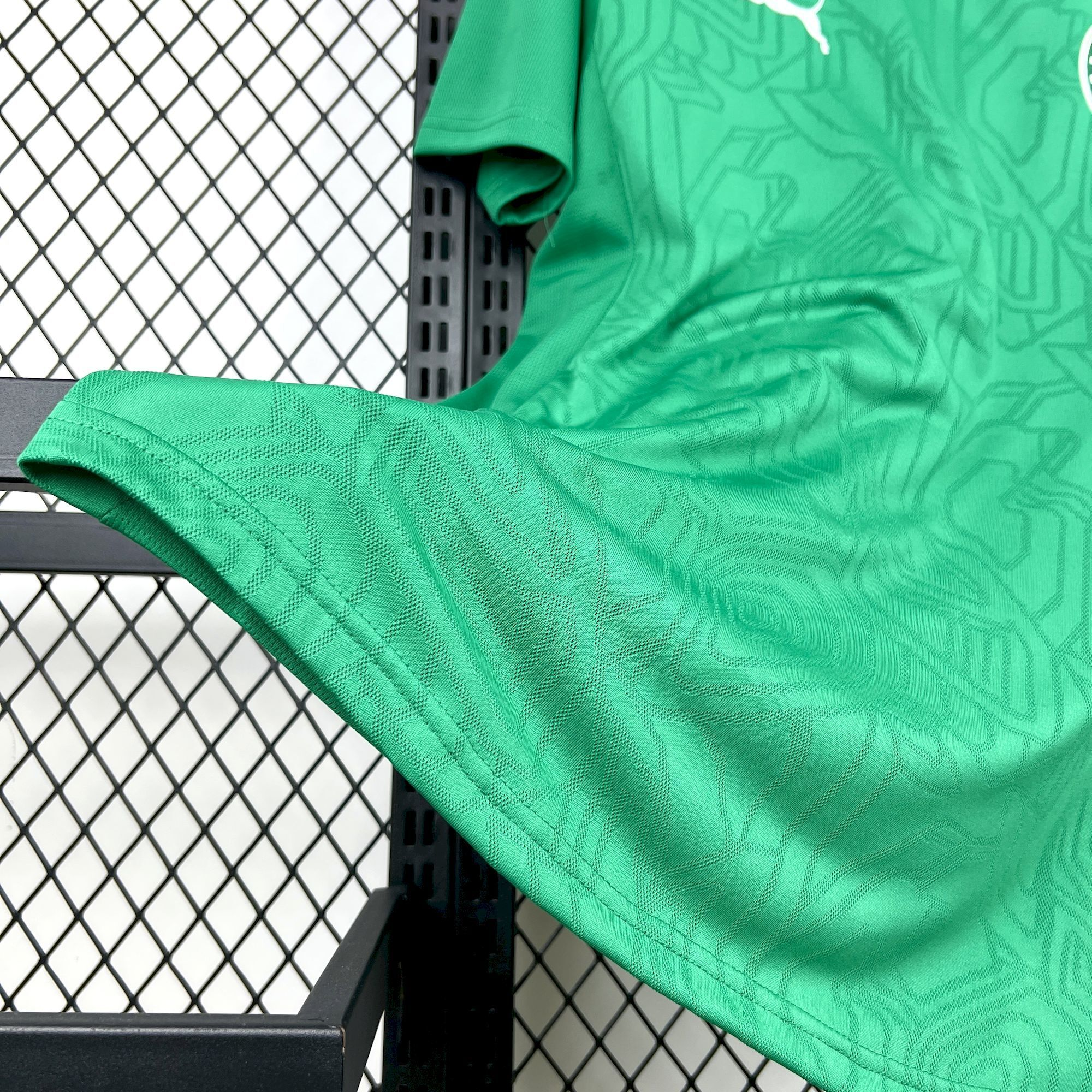 2024-2025 Palmeiras Club Mens Trainingr Jersey Fan version 1:1 China Quality