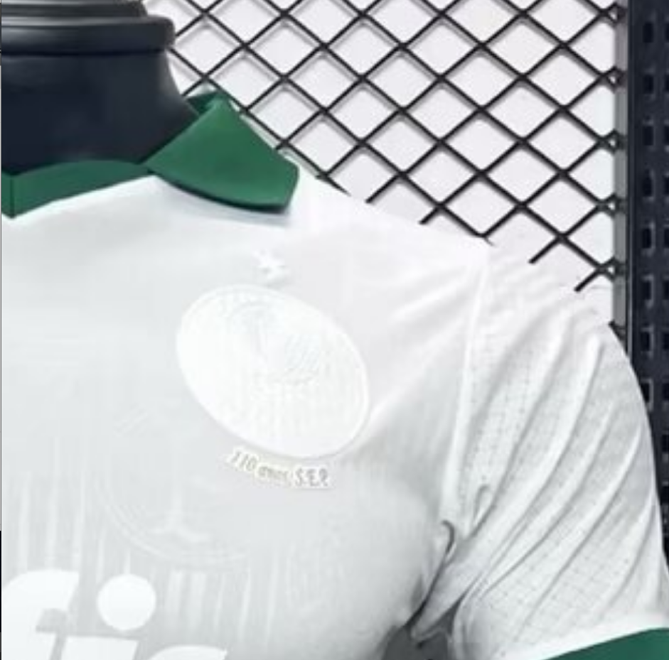 2024-2025 Palmeiras Club Special Edition Jersey Player Version 1:1 China Quality