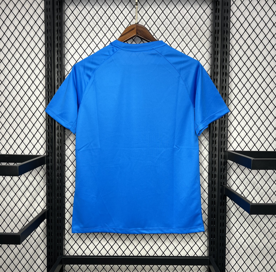 2025-2026 Palmeiras Club Mens Blue Pre-Match Training Jersey Fan version 1:1 China Quality