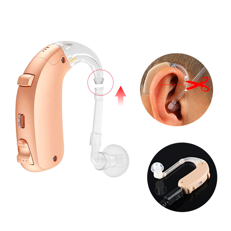 Rechargeable digital hearing aid