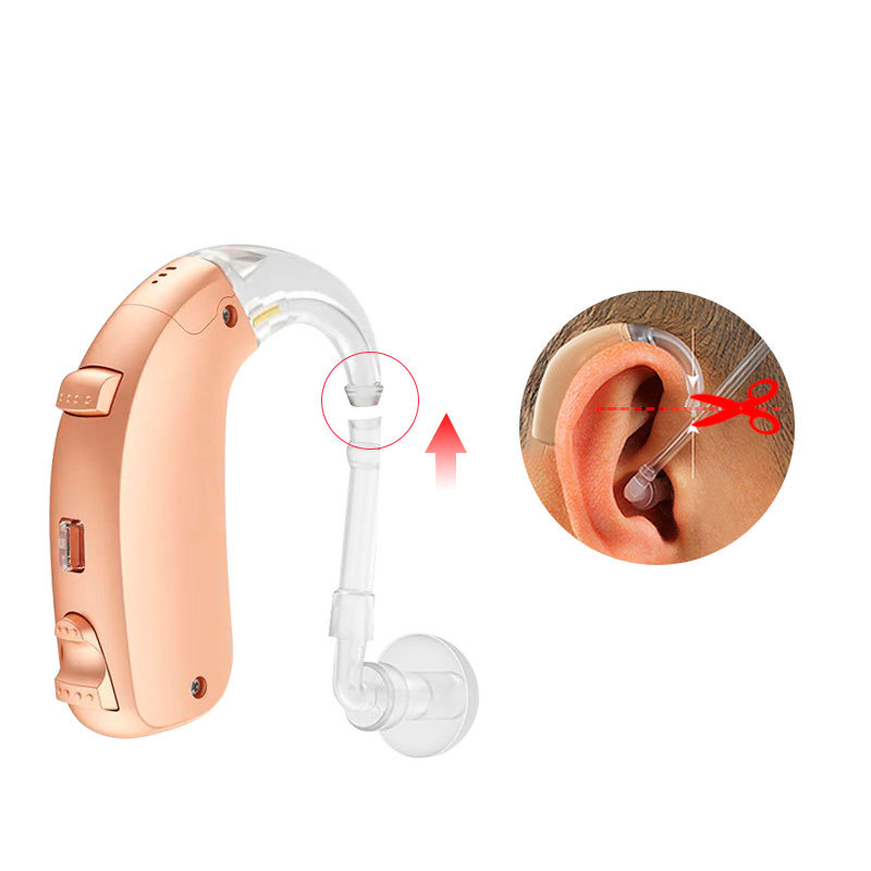 buy hearing aids online