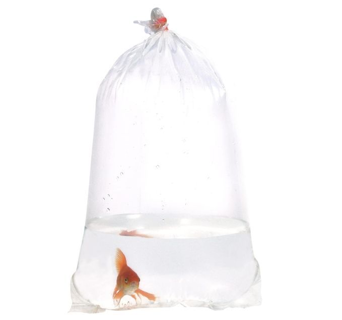 Jumbo 12" x 30" Live Fish Shipping Bags for Large Koi and Pond Fish - Professional Grade Heavy-Duty Double Seal Aquatic Transport Bags,Anhui Province Tianle Plastic Co.,Ltd ,12x30 Inch Jumbo Fish Transport Bags | Extra Large Heavy-Duty Shipping Bags for Koi & Pond Fish