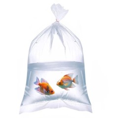 4x10 Inch Live Fish Shipping Bags for Shrimp and Fry - Professional Grade 2 Mil Leak-Proof Poly Bags for Aquarium Transport,Anhui Province Tianle Plastic Co.,Ltd ,4x10 Inch Live Fish Shipping Bags for Shrimp & Fry | Heavy Duty Leak-Proof Aquarium Transport Supplies