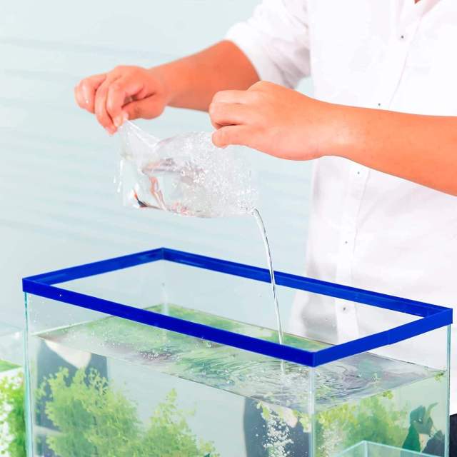 4x10 Inch Live Fish Shipping Bags for Shrimp and Fry - Professional Grade 2 Mil Leak-Proof Poly Bags for Aquarium Transport,Anhui Province Tianle Plastic Co.,Ltd ,4x10 Inch Live Fish Shipping Bags for Shrimp & Fry | Heavy Duty Leak-Proof Aquarium Transport Supplies