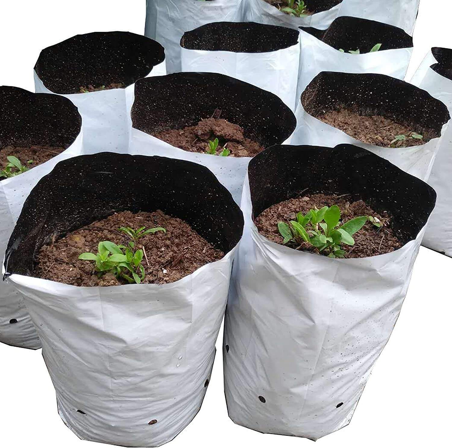 Panda Bags 1 Gallon - 7x10 Inch Light-Reflective Growth Pouches Deep Root Grow Pots for Flowers & Shrubs,Anhui Province Tianle Plastic Co.,Ltd ,1 Gallon (7x10 Inch) Poly Nursery Bags - Deep Propagation Grow Pots