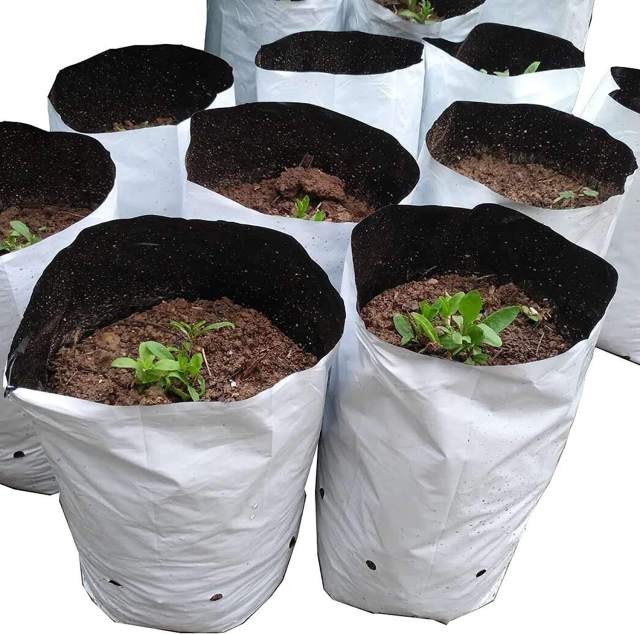 White/Black 3x6 Inch Propagation Pouches - Thermal Control Nursery Bags,Anhui Province Tianle Plastic Co.,Ltd ,3x6 Inch Mini Plastic Nursery Bags - Professional Seedling Starter Pouches