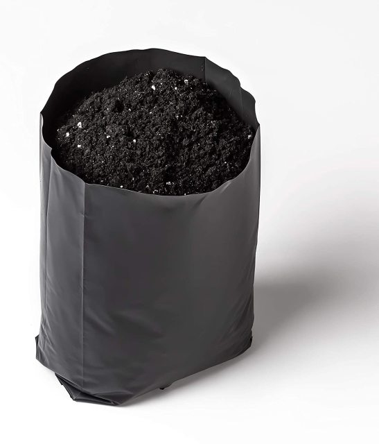 10x12 Inch 3 Gallon Vegetable Grow Bags - Large Planters for Tomato & Pepper,Anhui Province Tianle Plastic Co.,Ltd ,3 Gallon (10x12 Inch) Plastic Grow Bags - Heavy Duty Vegetable Planters