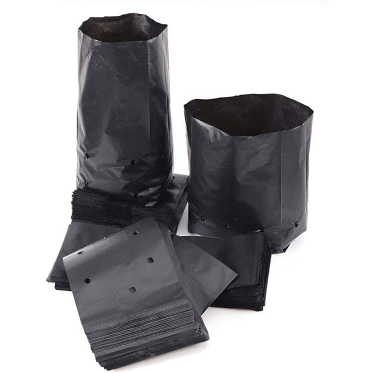 10x12 Inch 3 Gallon Vegetable Grow Bags - Large Planters for Tomato & Pepper,Anhui Province Tianle Plastic Co.,Ltd ,3 Gallon (10x12 Inch) Plastic Grow Bags - Heavy Duty Vegetable Planters