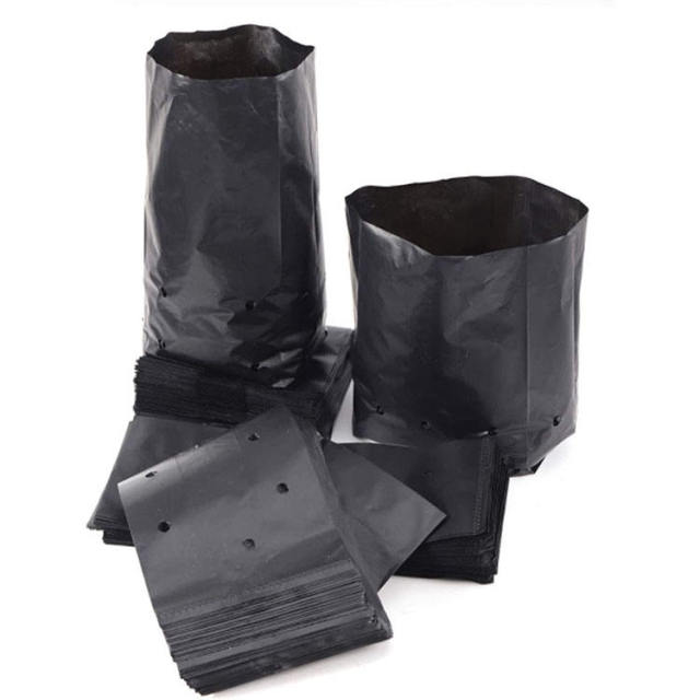 10x12 Inch 3 Gallon Vegetable Grow Bags - Large Planters for Tomato & Pepper,Anhui Province Tianle Plastic Co.,Ltd ,3 Gallon (10x12 Inch) Plastic Grow Bags - Heavy Duty Vegetable Planters