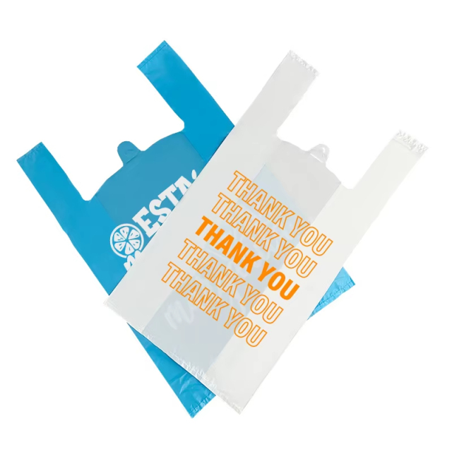 Large 15"x8"x24" Retail T-Shirt Bags for Boutiques & Apparel,Anhui Province Tianle Plastic Co.,Ltd ,Large 15"x8"x24" Retail Thank You Bags | Boutique Packaging