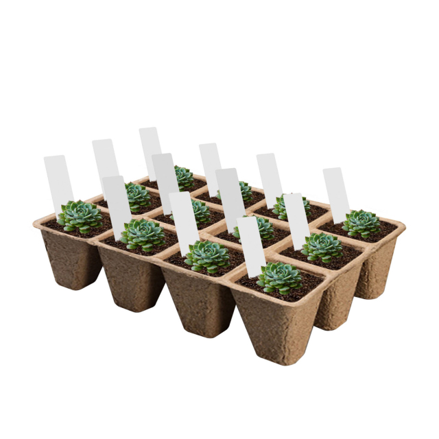 Biodegradable Paper Pulp Seedling Trays for Seed Starting and Nursery Use,Anhui Province Tianle Plastic Co.,Ltd ,Biodegradable Paper Pulp Seedling Tray | Nursery Use