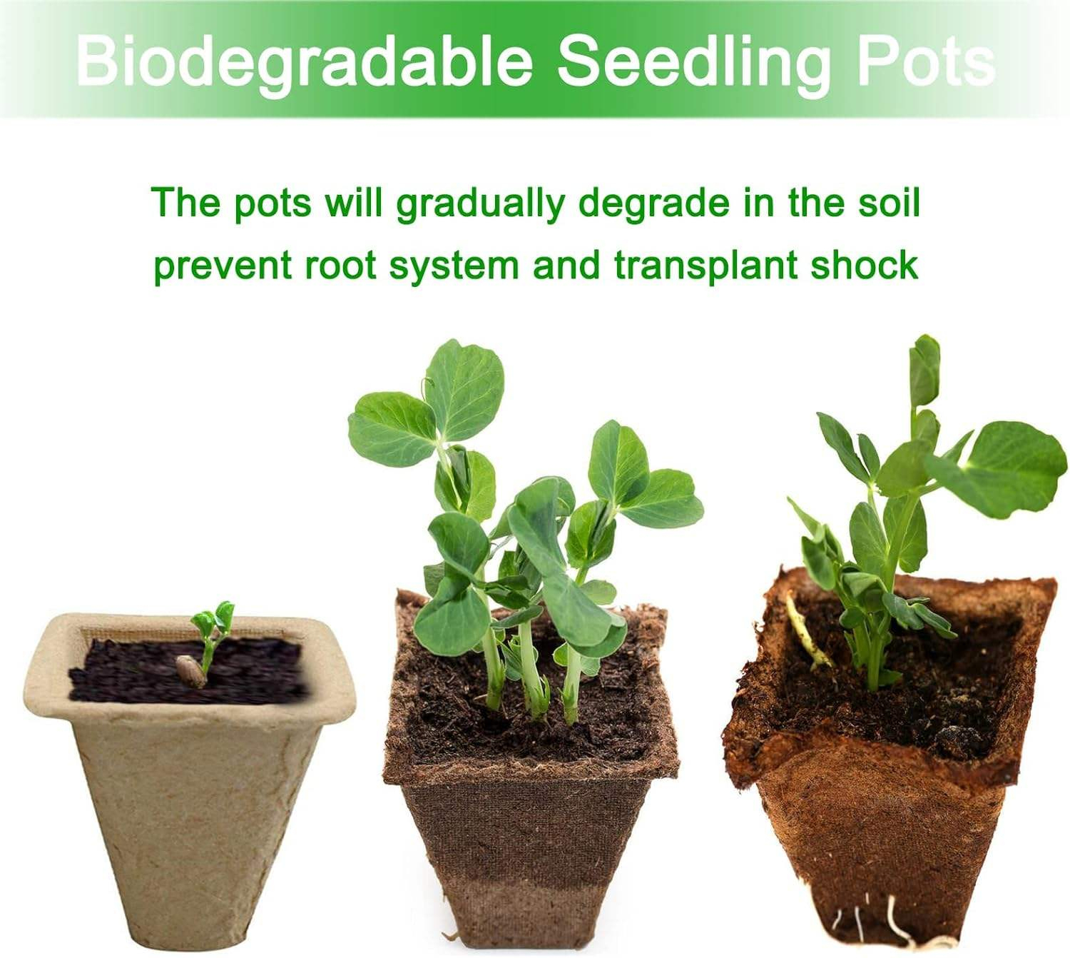 Eco Friendly Paper Seed Starter Trays for Greenhouse Growing,Anhui Province Tianle Plastic Co.,Ltd ,Eco Friendly Paper Seed Starter Trays for Greenhouse