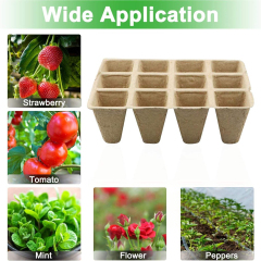 Biodegradable Nursery Seed Trays for Greenhouse Propagation,Anhui Province Tianle Plastic Co.,Ltd ,Biodegradable Nursery Seed Trays for Greenhouse