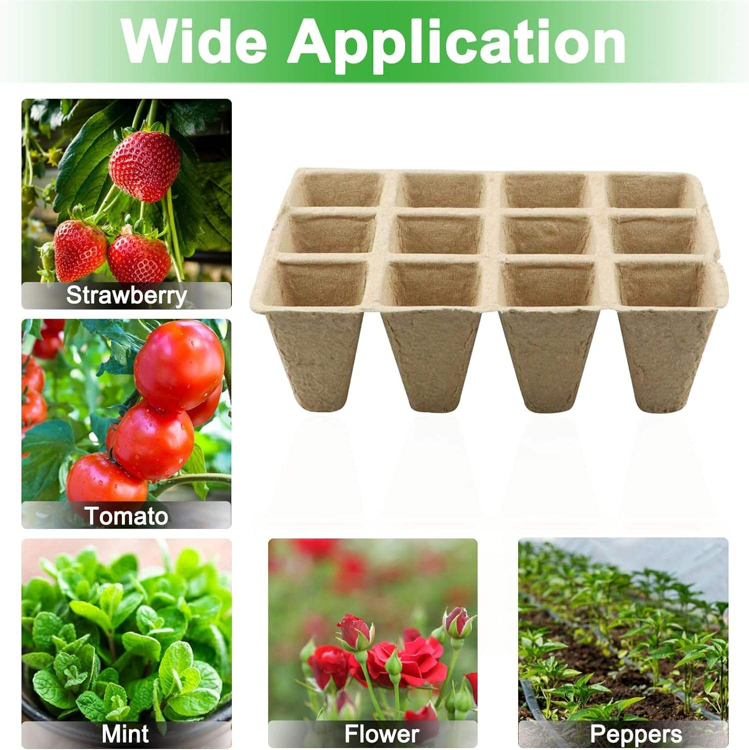 Paper Pulp Propagation Trays for Seed Germination and Nursery,Anhui Province Tianle Plastic Co.,Ltd ,Paper Pulp Propagation Trays for Seed Germination