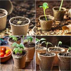 Round Eco-Friendly Pulp Starter Pots for Herb and Garden Seedlings,Anhui Province Tianle Plastic Co.,Ltd ,Round Eco-Friendly Pulp Starter Pots for Garden Seedlings