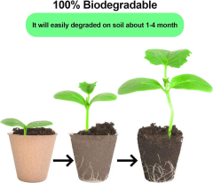 Bulk Biodegradable Paper Seedling Cups for Commercial Nurseries,Anhui Province Tianle Plastic Co.,Ltd ,Bulk Biodegradable Paper Seedling Cups | Nursery Use