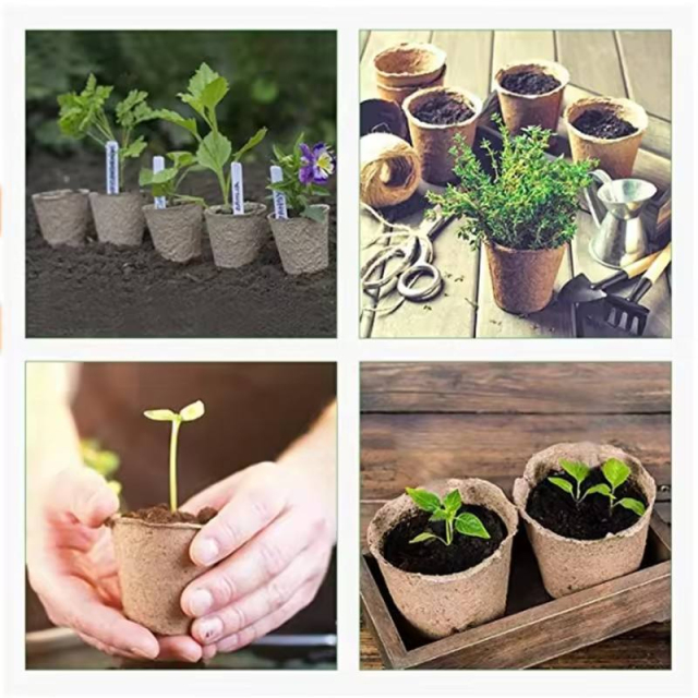 Bulk Biodegradable Paper Seedling Cups for Commercial Nurseries,Anhui Province Tianle Plastic Co.,Ltd ,Bulk Biodegradable Paper Seedling Cups | Nursery Use