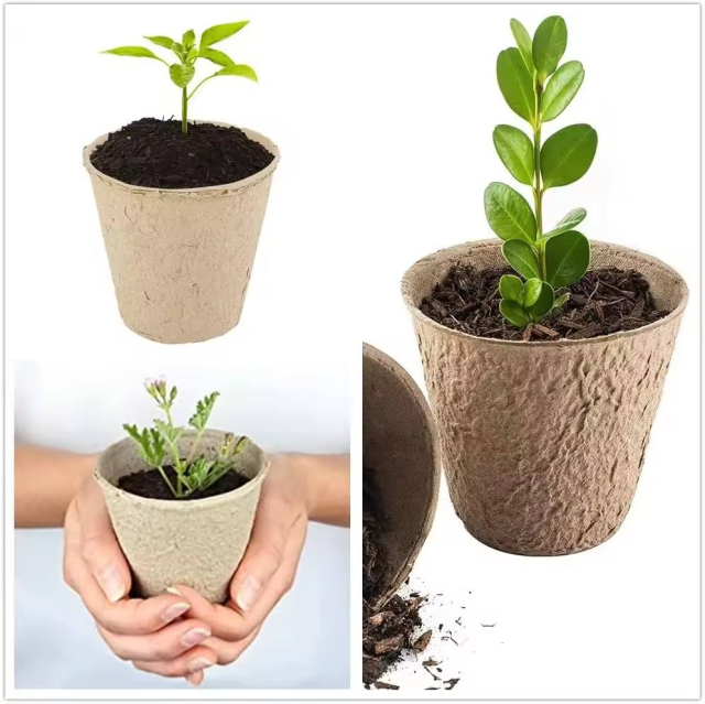 100% Biodegradable Paper Pulp Pots (Eco-Friendly Peat Pot Alternative),Anhui Province Tianle Plastic Co.,Ltd ,100% Biodegradable Paper Pulp Pots | Peat Pot Alternative