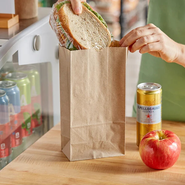 6.1"x4"x12.4" Heavy-Duty Kraft Paper Bags for Delivery & Takeaway (8 lb),Anhui Province Tianle Plastic Co.,Ltd ,6.1"x4"x12.4" Heavy-Duty Kraft Delivery Bags | 8 lb