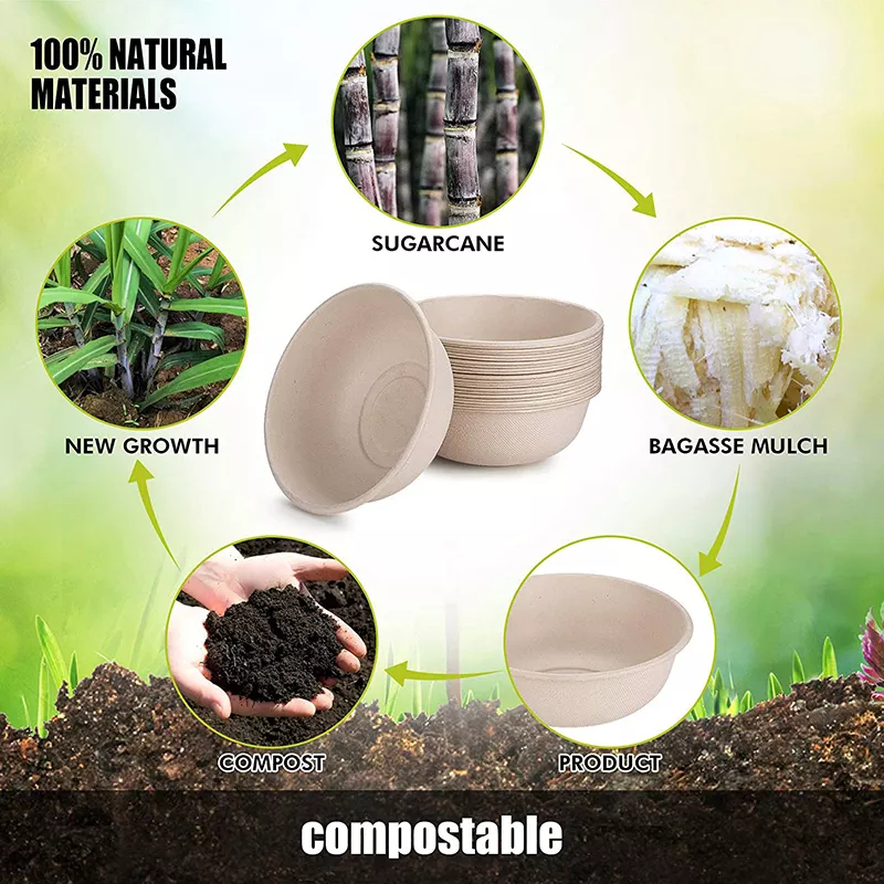 16 oz Biodegradable Sugarcane Cereal Bowls | Heavy-Duty Disposable,Anhui Province Tianle Plastic Co.,Ltd ,16 oz Biodegradable Sugarcane Cereal Bowls | Heavy-Duty