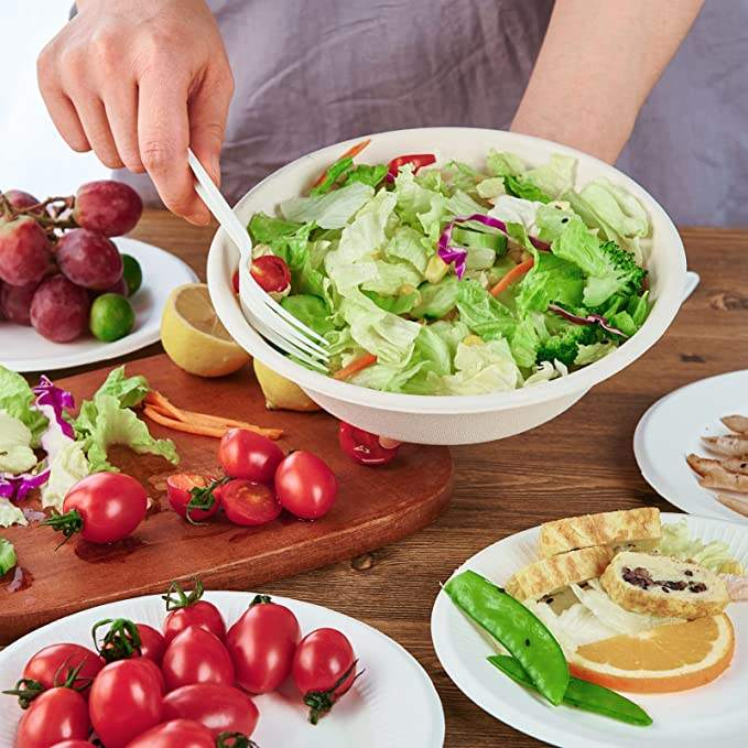 Small Compostable Sugarcane Dessert & Fruit Bowls | Party Tableware,Anhui Province Tianle Plastic Co.,Ltd ,Small Compostable Sugarcane Dessert Bowls | Fruit Serving