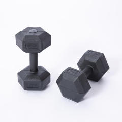 Commercial Eco Cement Core Hex Dumbbells for Gym Studio Strength Gear,dilifitness,China supplier Commercial Eco Cement Hex Dumbbells for Gym