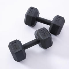 Commercial Eco Cement Core Hex Dumbbells for Gym Studio Strength Gear,dilifitness,China supplier Commercial Eco Cement Hex Dumbbells for Gym