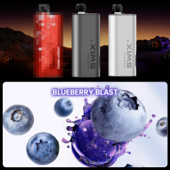 Blueberry BLAST