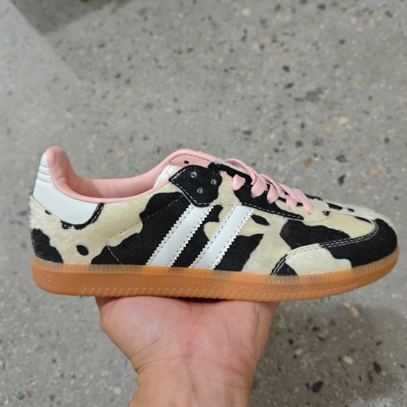 2sam With shoe box adidas