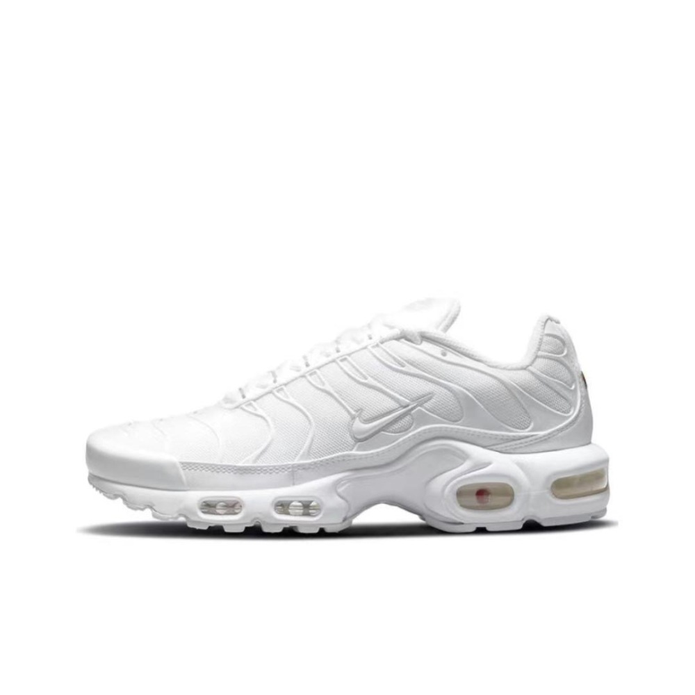 DM NIKE AIR MAX TN