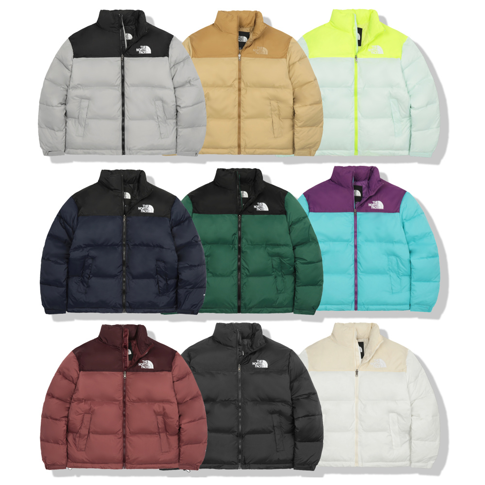 The North Face 1996 series down jacket