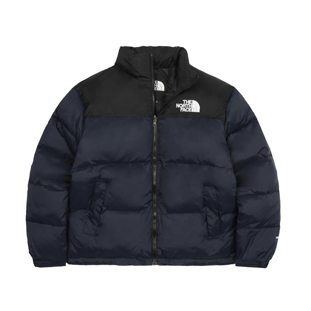 The North Face 1996 series down jacket
