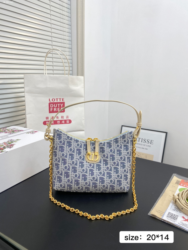 Dior Classic Pattern Chain Bag